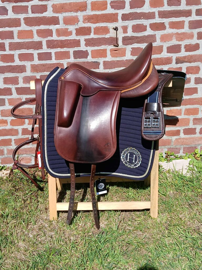 Aulion Dressage (2020)